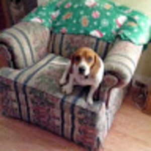 Meet your Posher, William